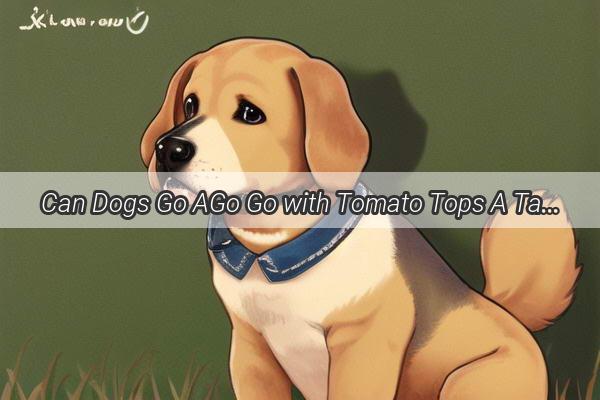 Can Dogs Go AGo Go with Tomato Tops A Tasty Twist on Fidos Diet